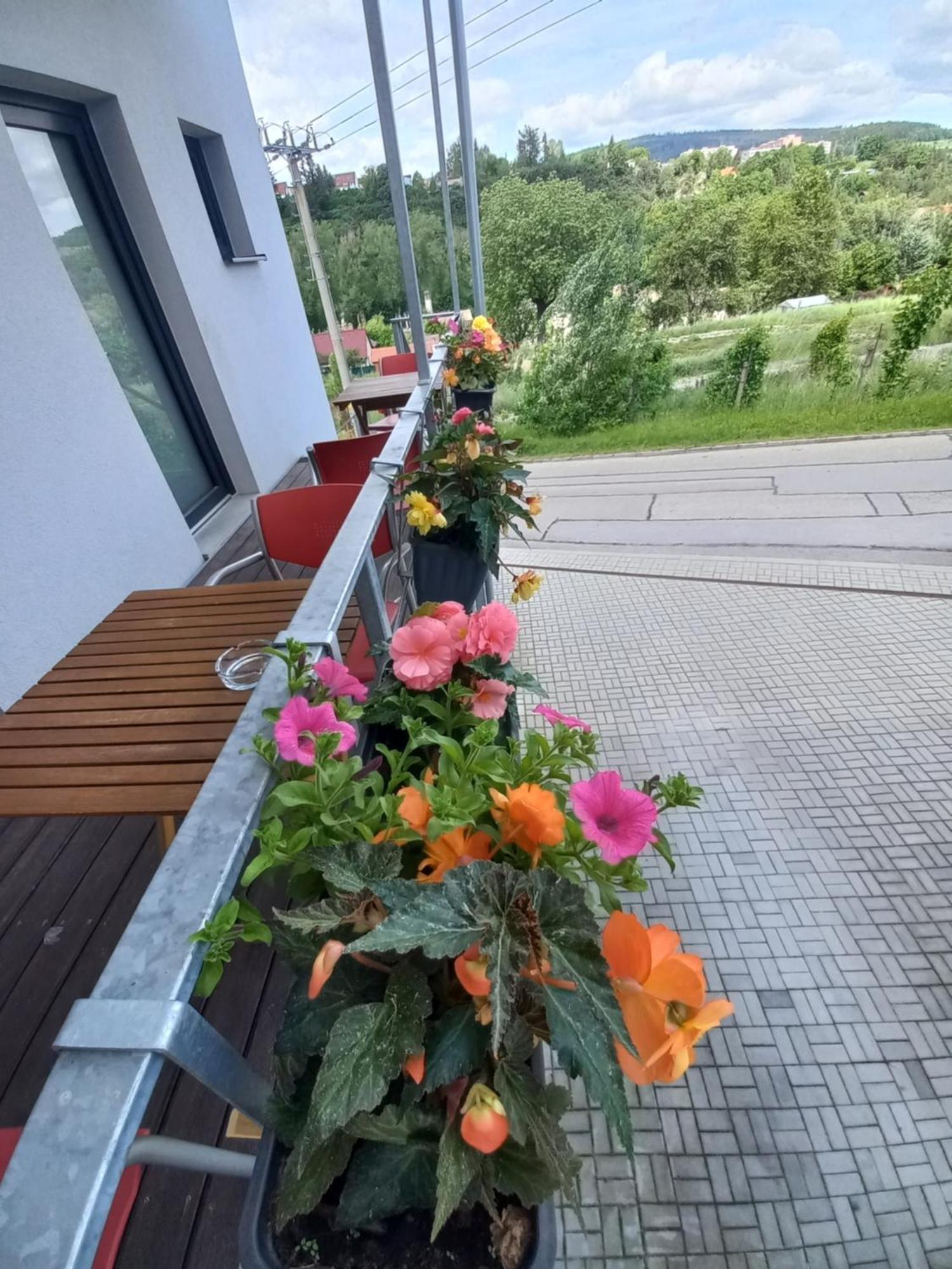 Pension SALMA Cesky Krumlov Bagian luar foto